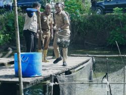 Bupati Pringsewu Minta Pembudidaya Ikan Terus Berinovasi & Tingkatkan Kualitas Produksi