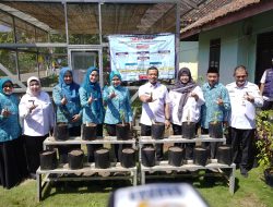 Ketua TP PKK Provinsi Lampung Tinjau Desa TAPIS Binaan di Pringsewu, Serahkan Sejumlah Bantuan